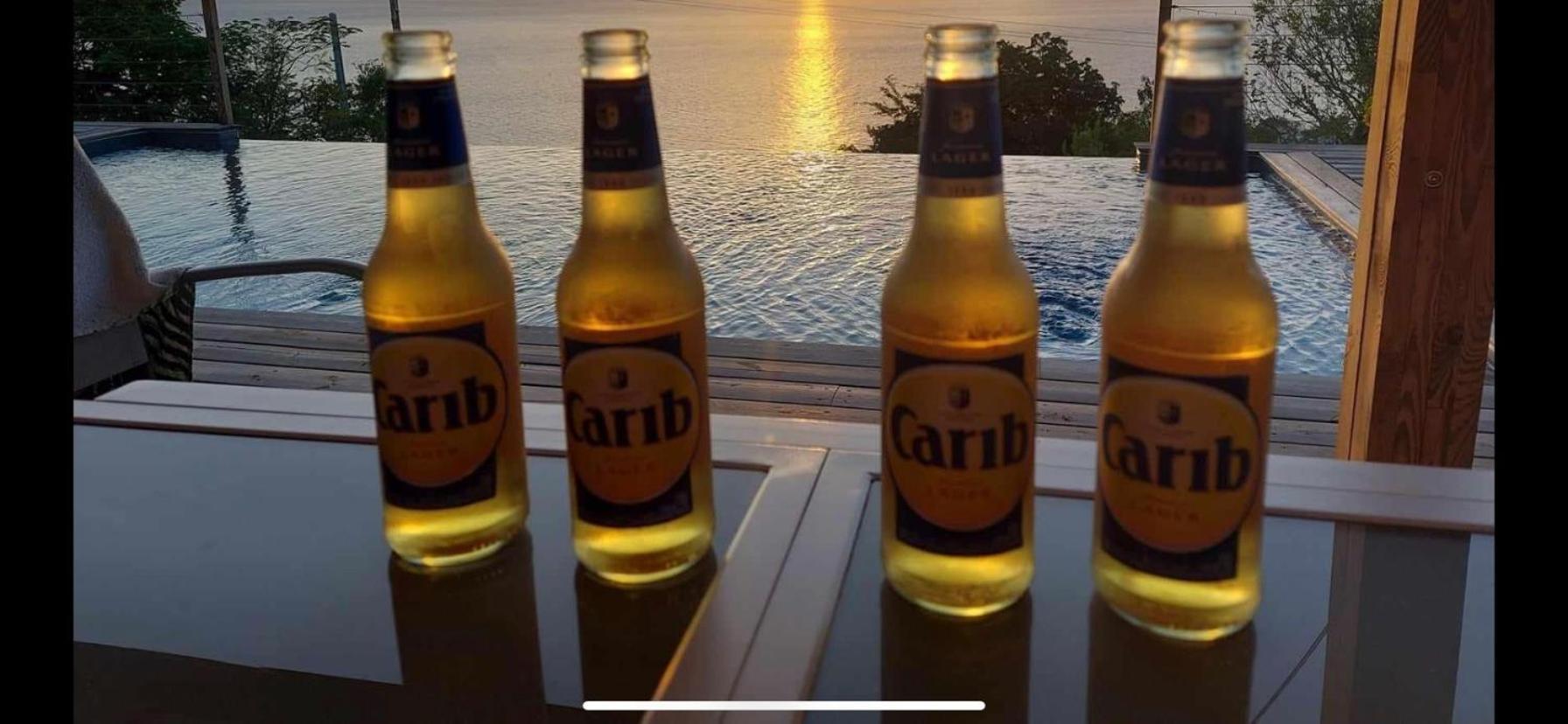 דירות Kaz Caraibes בוויאנט מראה חיצוני תמונה